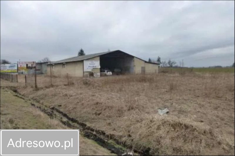 Działka budowlana Łąka Prudnicka. Zdjęcie 6