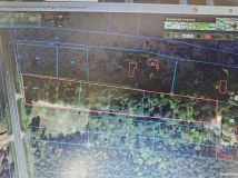 Działka leśna Włodzimierzów, ul. Łęczyńska. Zdjęcie 1