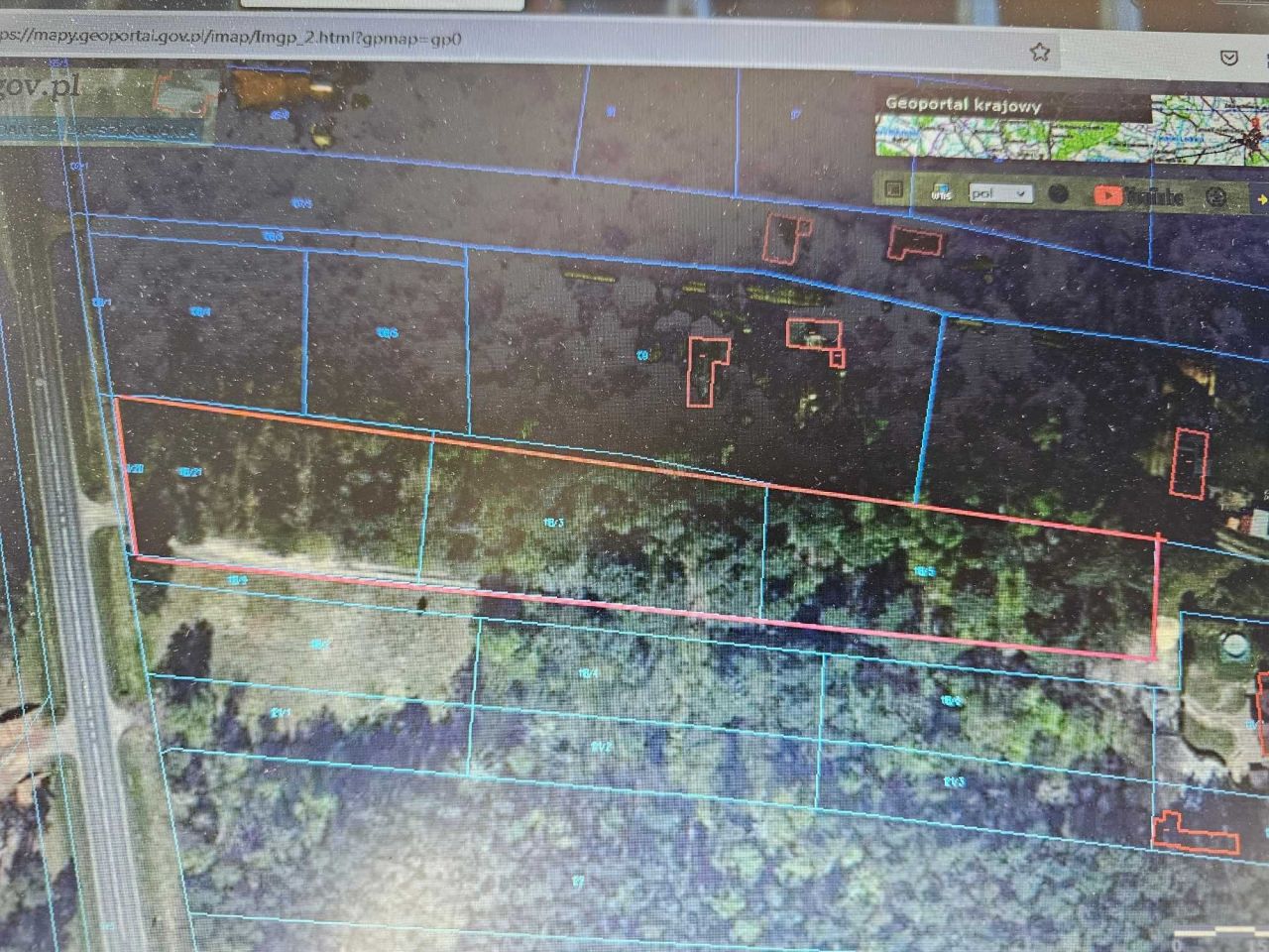 Działka leśna Włodzimierzów, ul. Łęczyńska. Zdjęcie 2