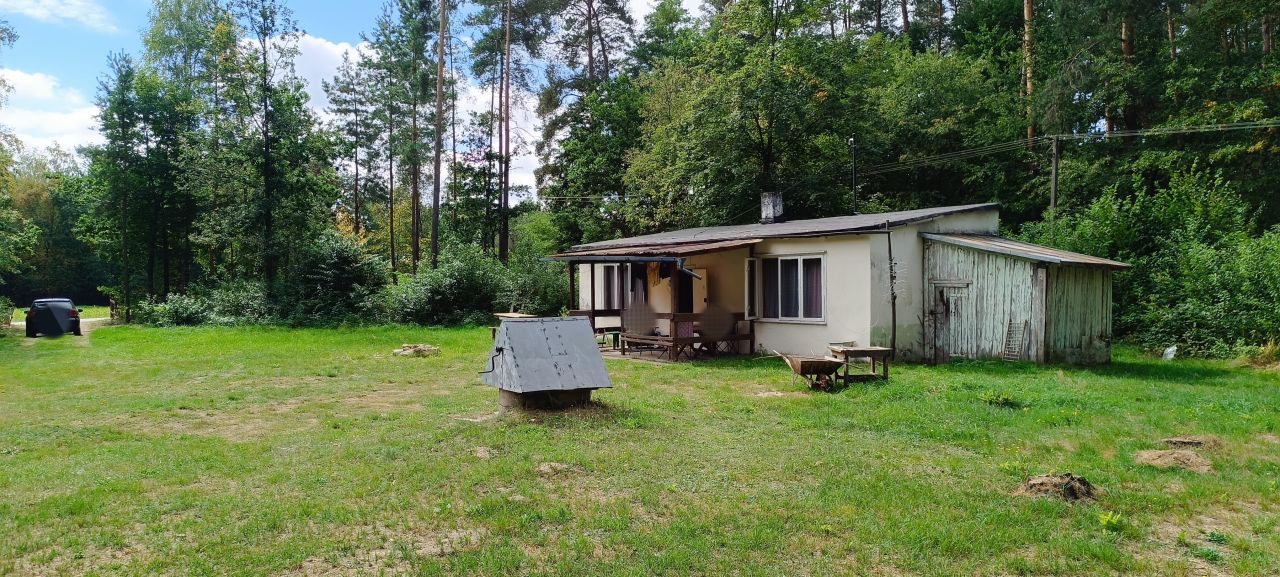 Działka rekreacyjna Budy Grabskie. Zdjęcie 9