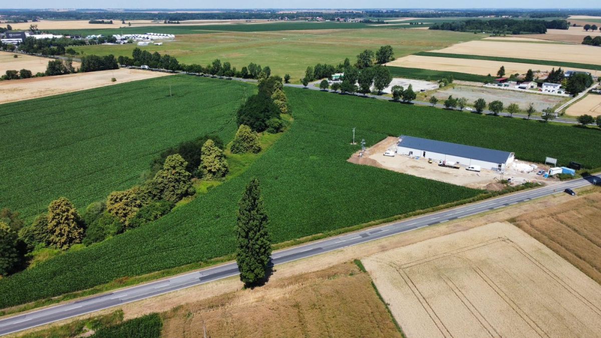 Działka inwestycyjna Mirosławice. Zdjęcie 5