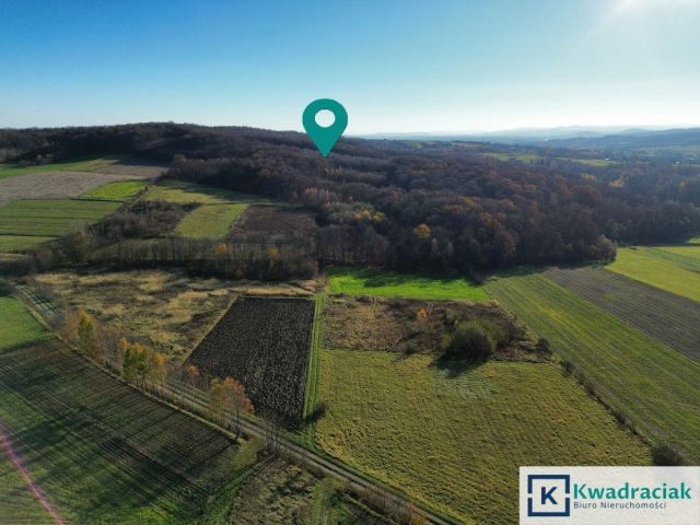 Działka rolna Podniebyle. Zdjęcie 4