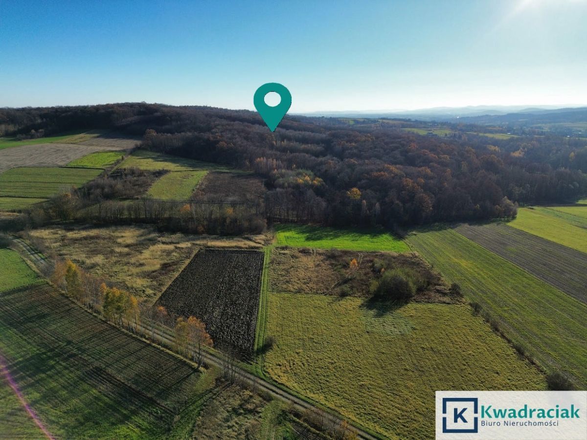 Działka rolna Podniebyle. Zdjęcie 4