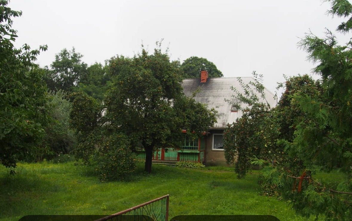 Działka rolno-budowlana Aniołka Pierwsza. Zdjęcie 4