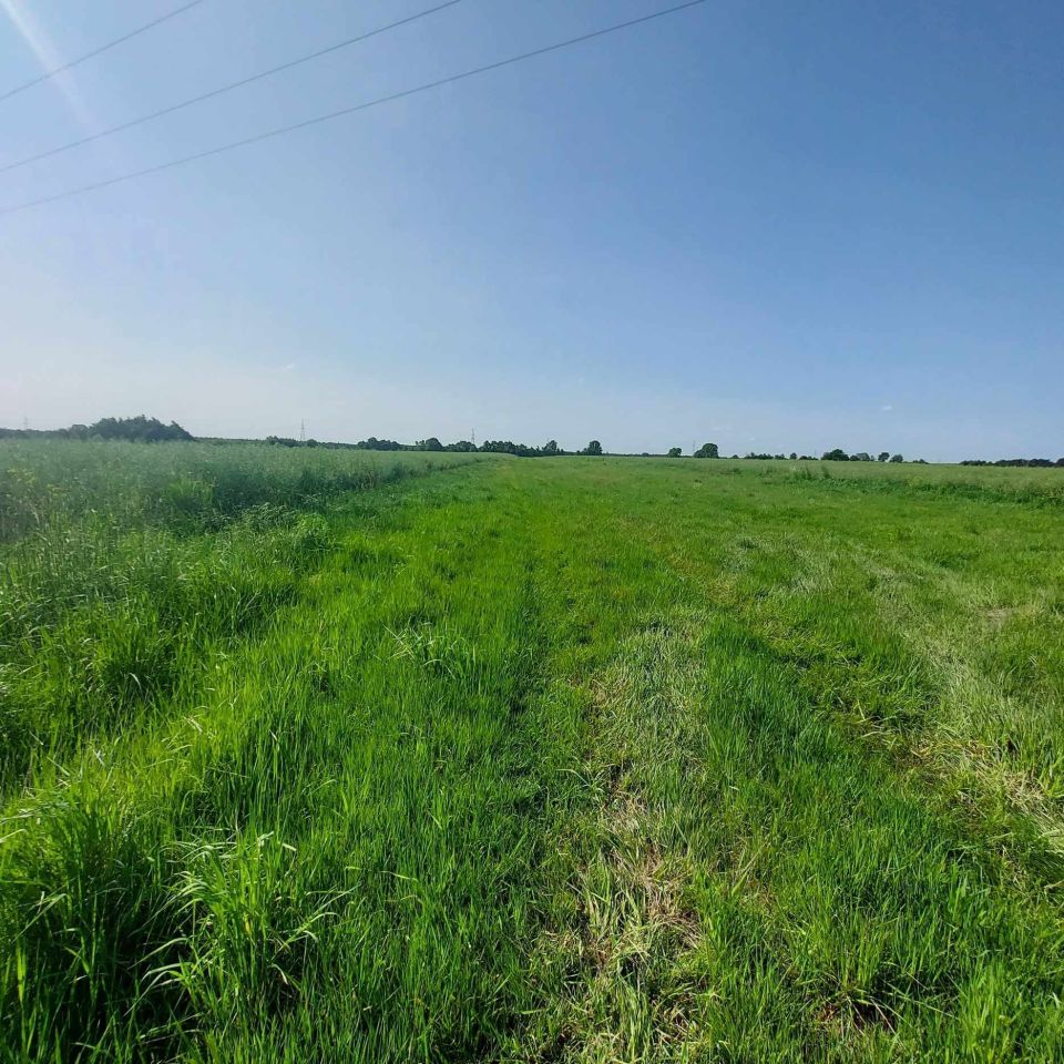 Działka rolno-budowlana Żdżary. Zdjęcie 3