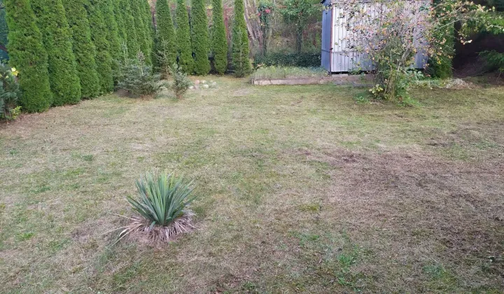 Działka rod Łódź Bałuty, ul. Liściasta