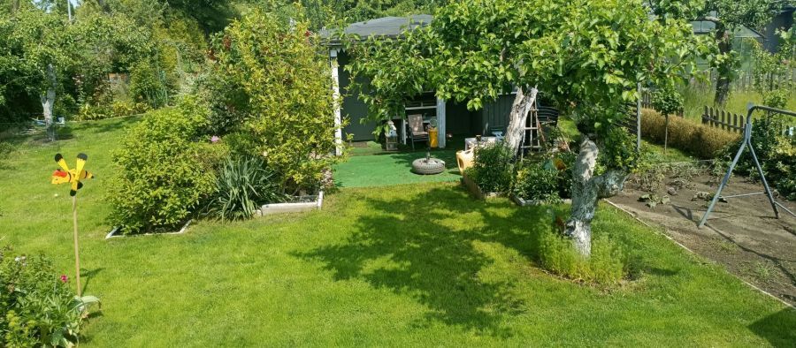 Działka rod Gdynia Obłuże, ul. Zielona. Zdjęcie 5