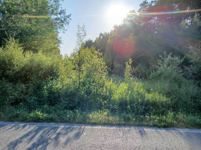 Działka rolno-budowlana Szczerców. Zdjęcie 1