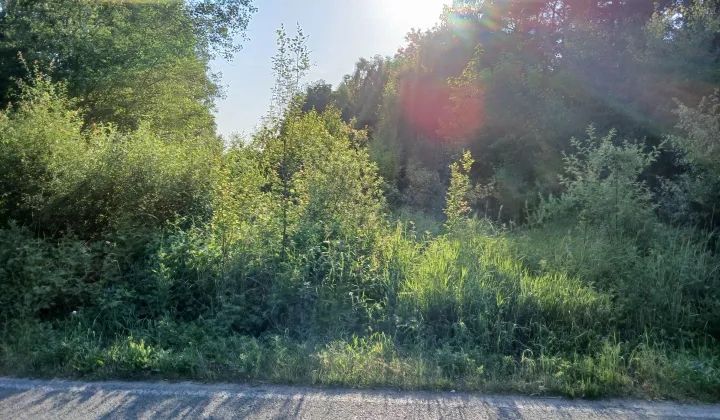 Działka rolno-budowlana Szczerców