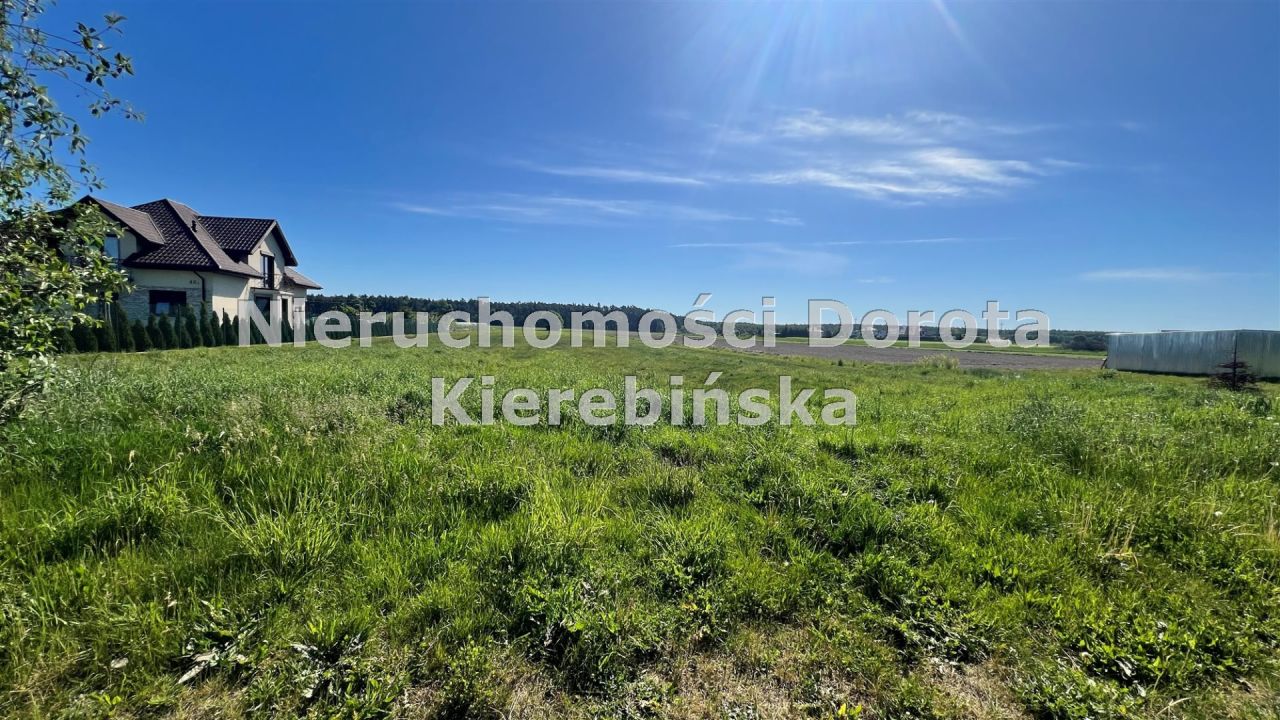 Działka Nowy Jasień. Zdjęcie 4