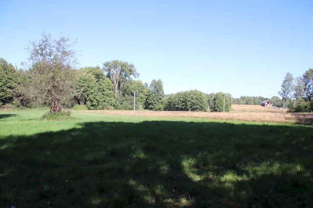 Działka rolno-budowlana Pszczonów Błota. Zdjęcie 1