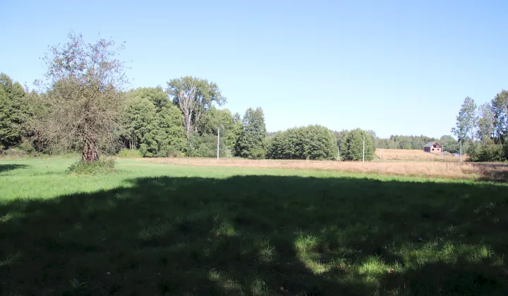 Działka rolno-budowlana Pszczonów Błota