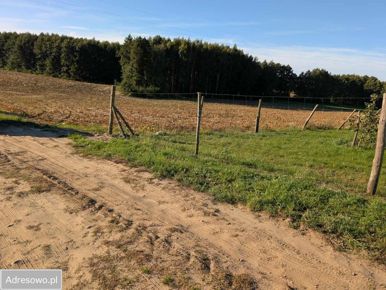 Działka budowlana Serock, ul. Leśna. Zdjęcie 4