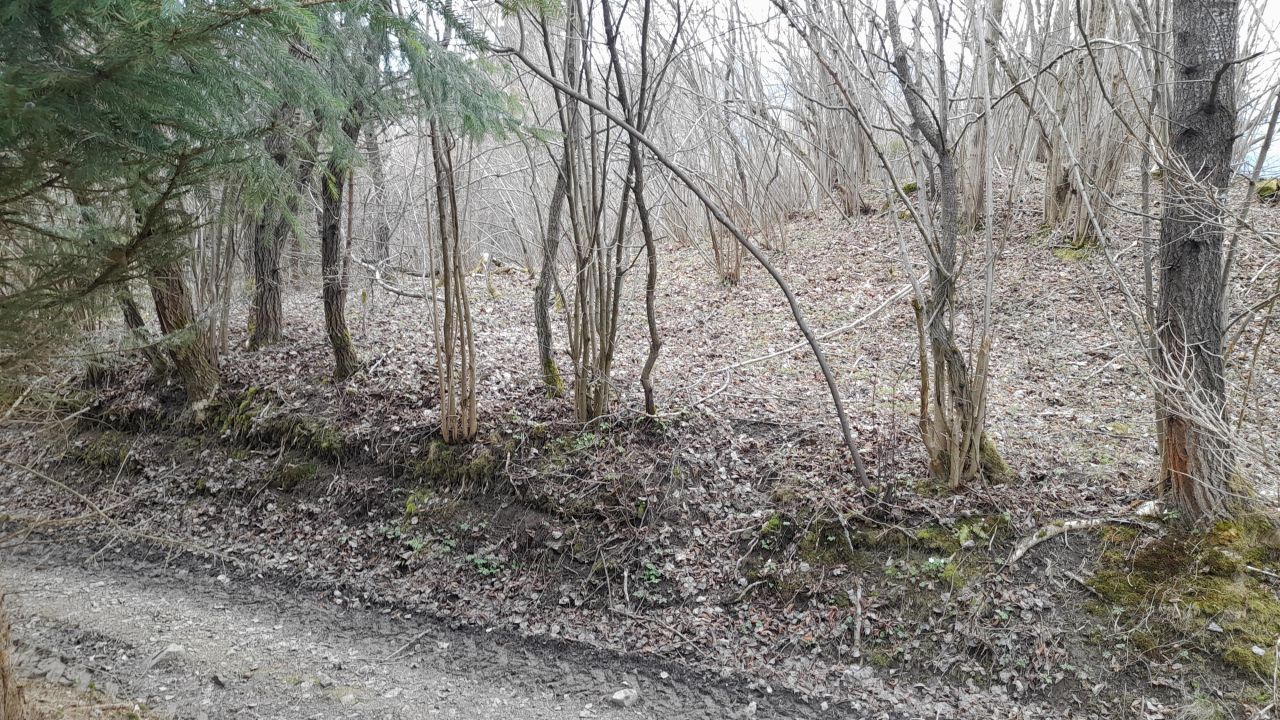 Działka rolno-budowlana Rycerka Dolna U Brandysa. Zdjęcie 4