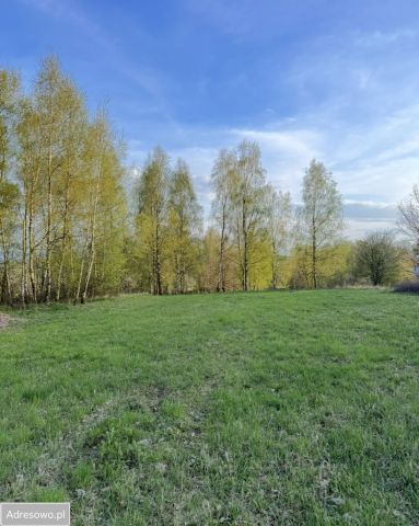 Działka budowlana Mikołów, ul. Młyńska. Zdjęcie 1