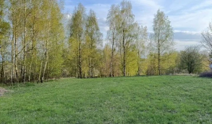 Działka budowlana Mikołów, ul. Młyńska