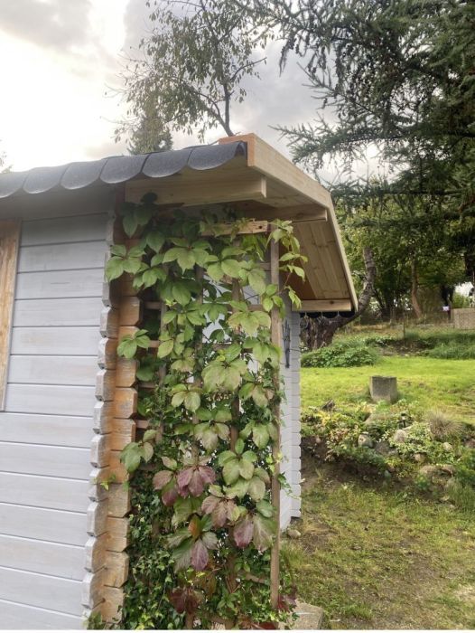 Działka rod Gdańsk Matarnia, ul. mjr. Mieczysława Słabego. Zdjęcie 3