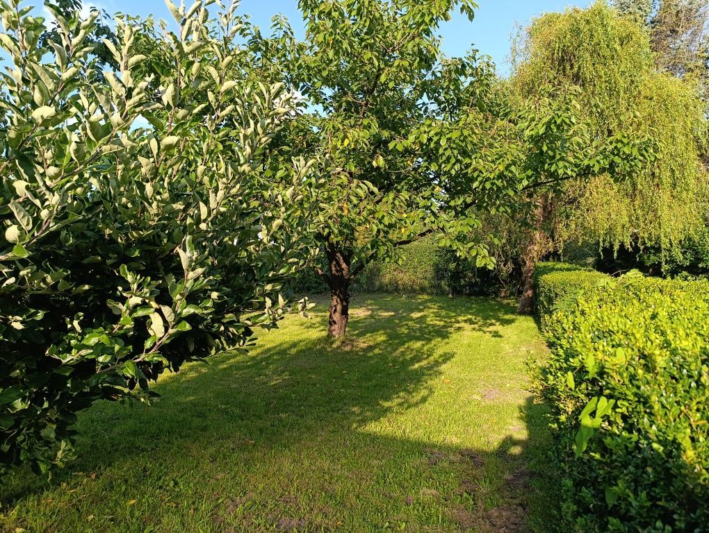 Działka rod Kołobrzeg. Zdjęcie 3
