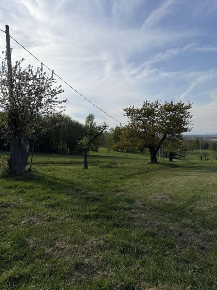 Działka budowlana Szczawina. Zdjęcie 12