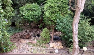 Działka rod Łódź, ul. Tabelowa