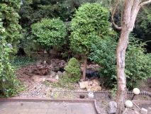 Działka rod Łódź, ul. Tabelowa. Zdjęcie 1