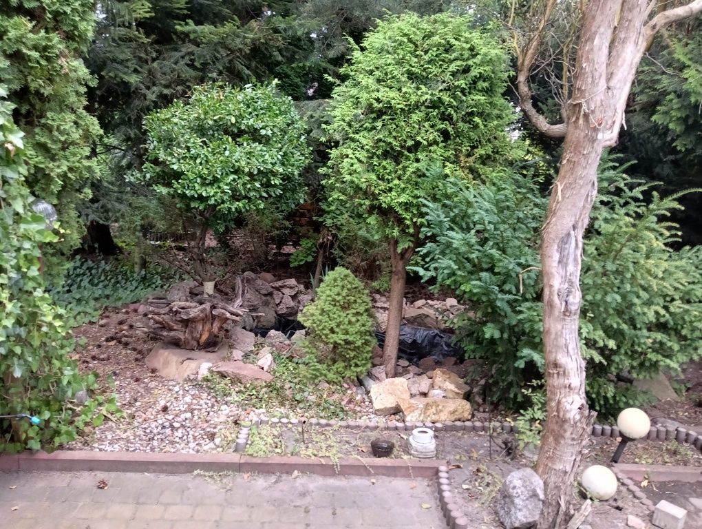 Działka rod Łódź, ul. Tabelowa. Zdjęcie 2