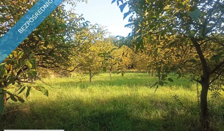 Działka inwestycyjna Albigowa