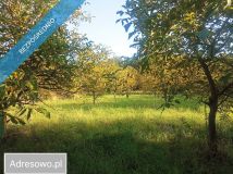 Działka inwestycyjna Albigowa