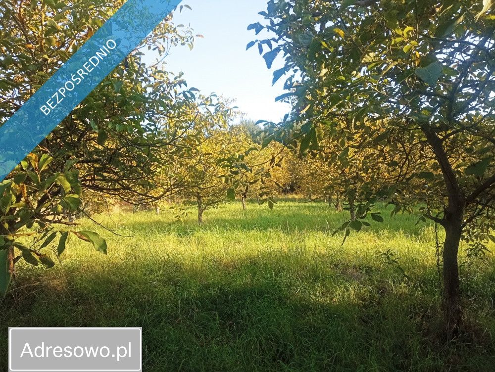 Działka inwestycyjna Albigowa