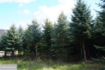 Działka budowlana Zawonia, ul. Rumiankowa. Zdjęcie 2