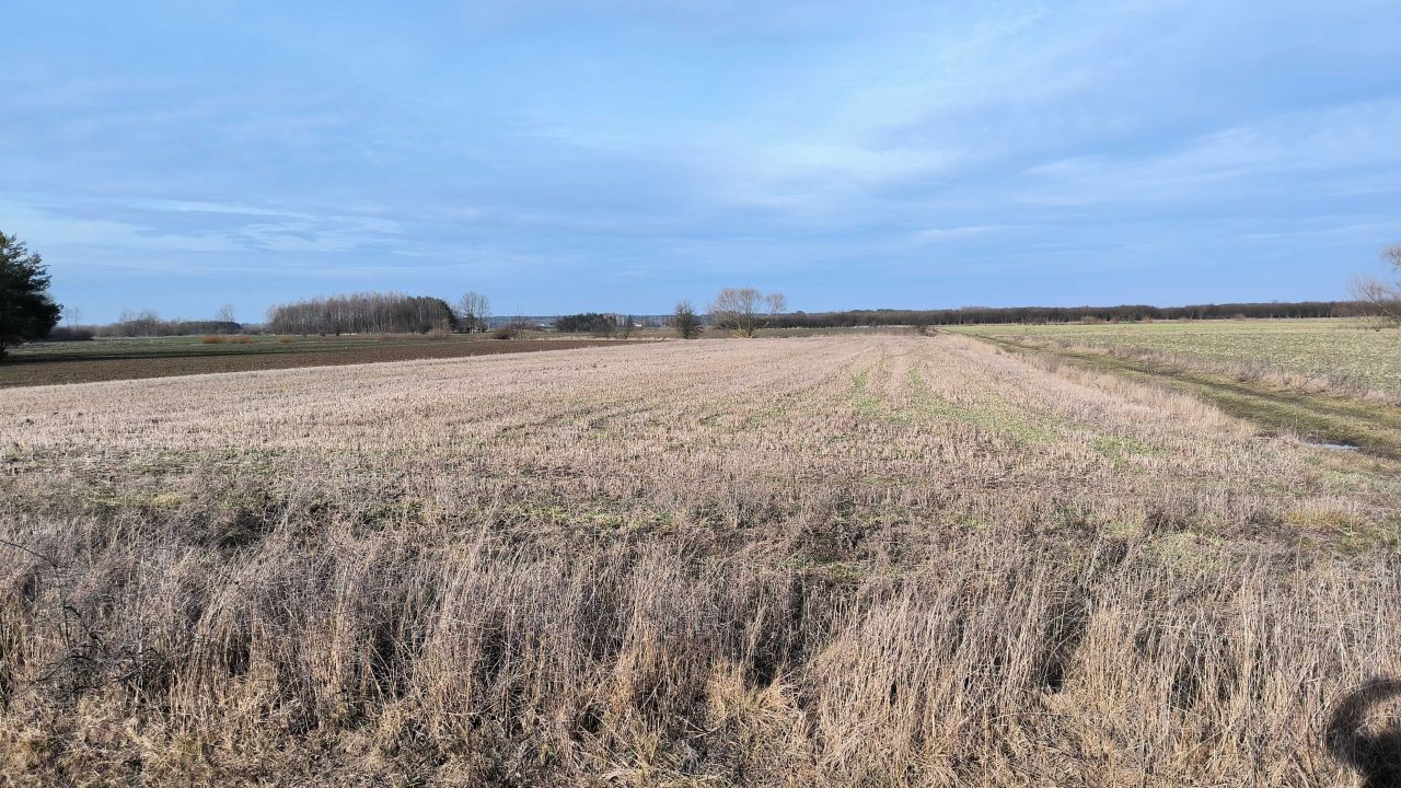Działka budowlana Chrząstów. Zdjęcie 7