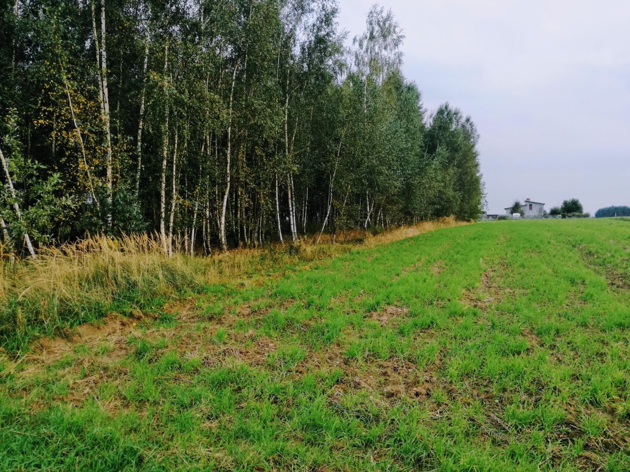 Działka budowlana Izbiska. Zdjęcie 2