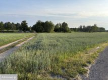 Działka siedliskowa Parole, ul. Kuropiecka. Zdjęcie 2