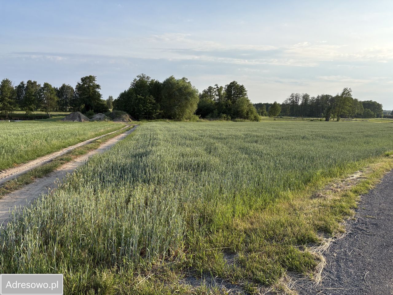 Działka siedliskowa Parole, ul. Kuropiecka. Zdjęcie 3
