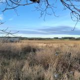 Działka budowlana Wolimirzyce. Zdjęcie 2