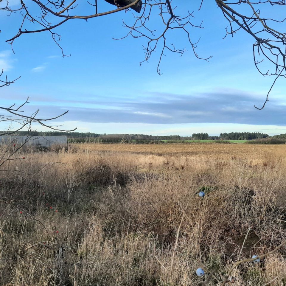 Działka budowlana Wolimirzyce. Zdjęcie 3