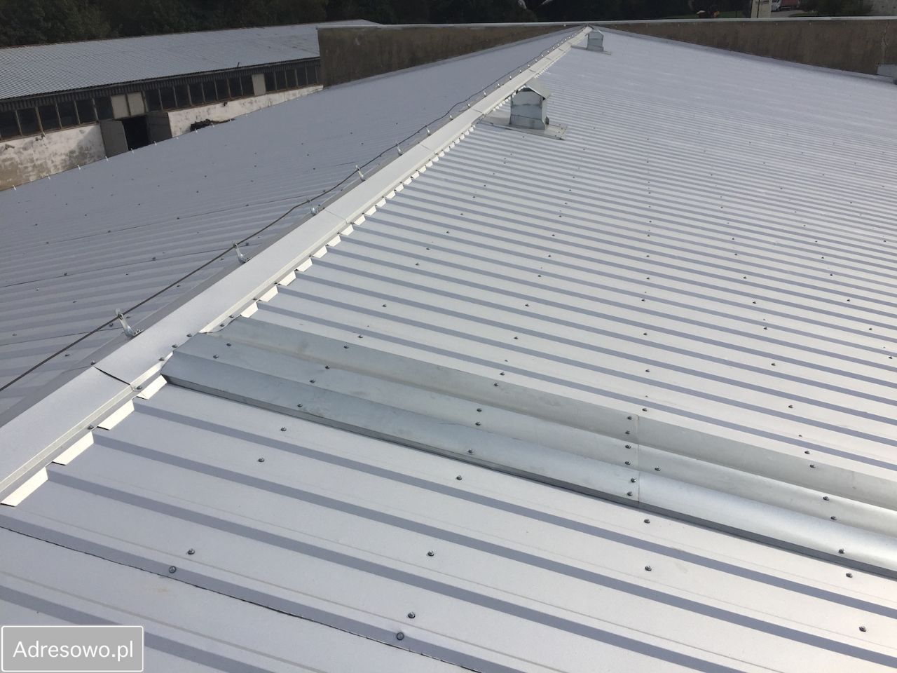 Hala/magazyn Prusice. Zdjęcie 7