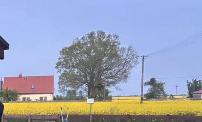 dom wolnostojący, 6 pokoi Modliszewo, Wegorzewo. Zdjęcie 55