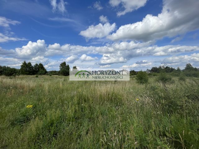 Działka inwestycyjna Bojano. Zdjęcie 6