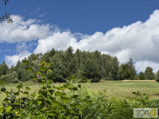 Działka budowlana Paleśnica. Zdjęcie 4