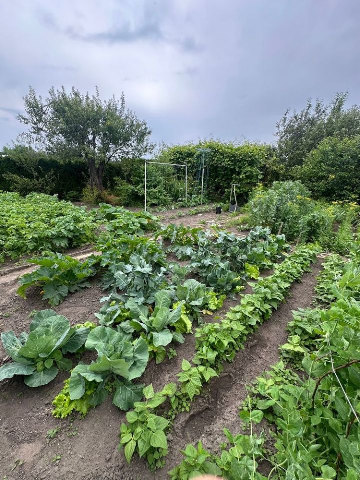 Działka rod Szczecinek. Zdjęcie 4