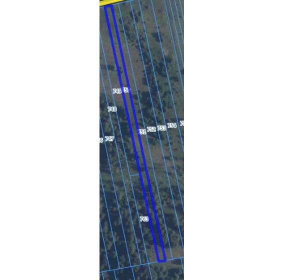 Działka rolna Guzew. Zdjęcie 2