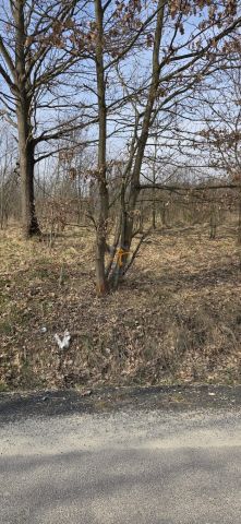 Działka budowlana Marcyporęba. Zdjęcie 7