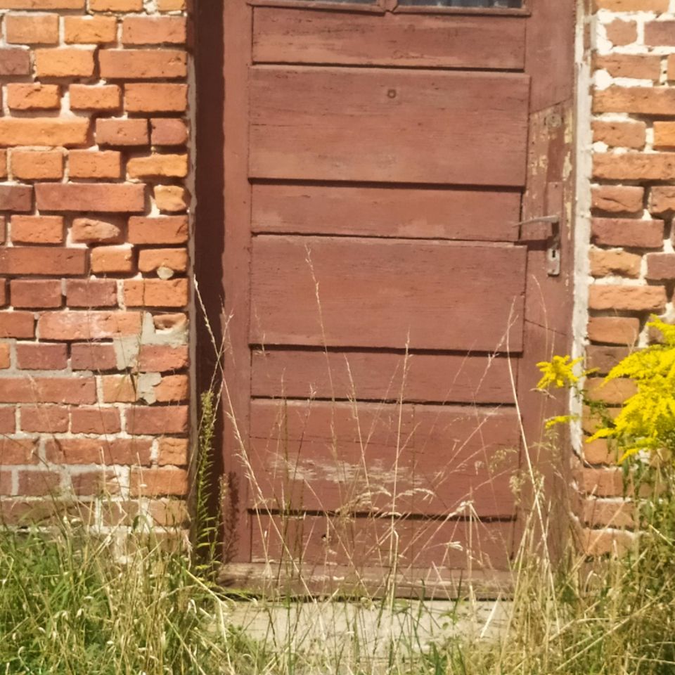 Działka rolno-budowlana Rychnowy, Rychnowy. Zdjęcie 3