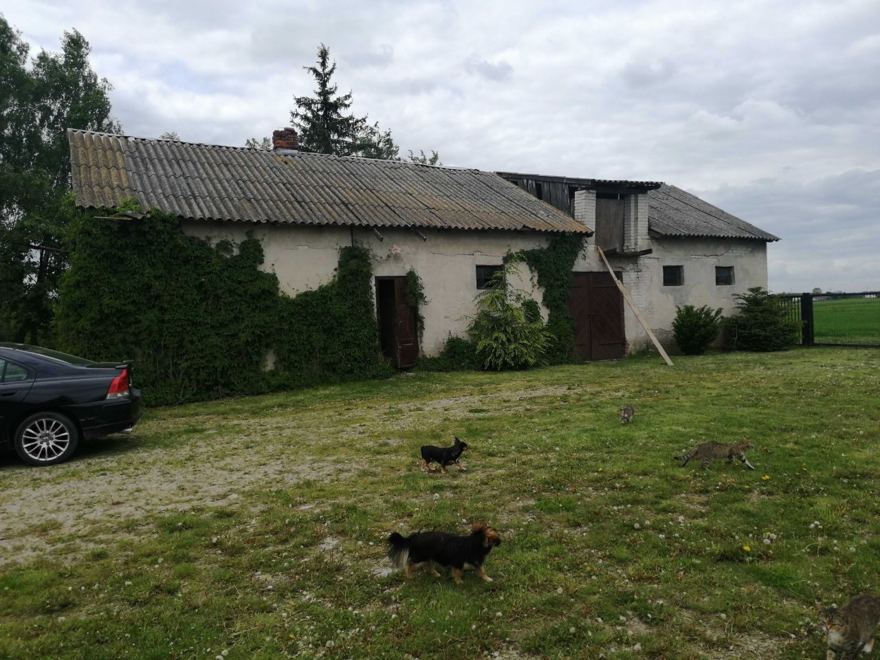 gospodarstwo Ładzyń. Zdjęcie 7