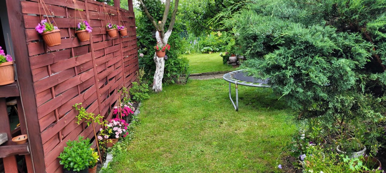 Działka rod Ruda Śląska Kochłowice. Zdjęcie 3