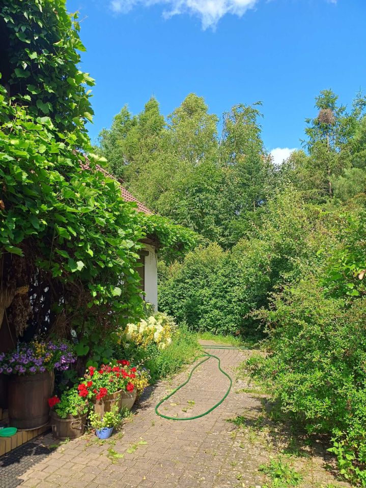 dom wolnostojący Człopa, ul. Nad Łąkami. Zdjęcie 3