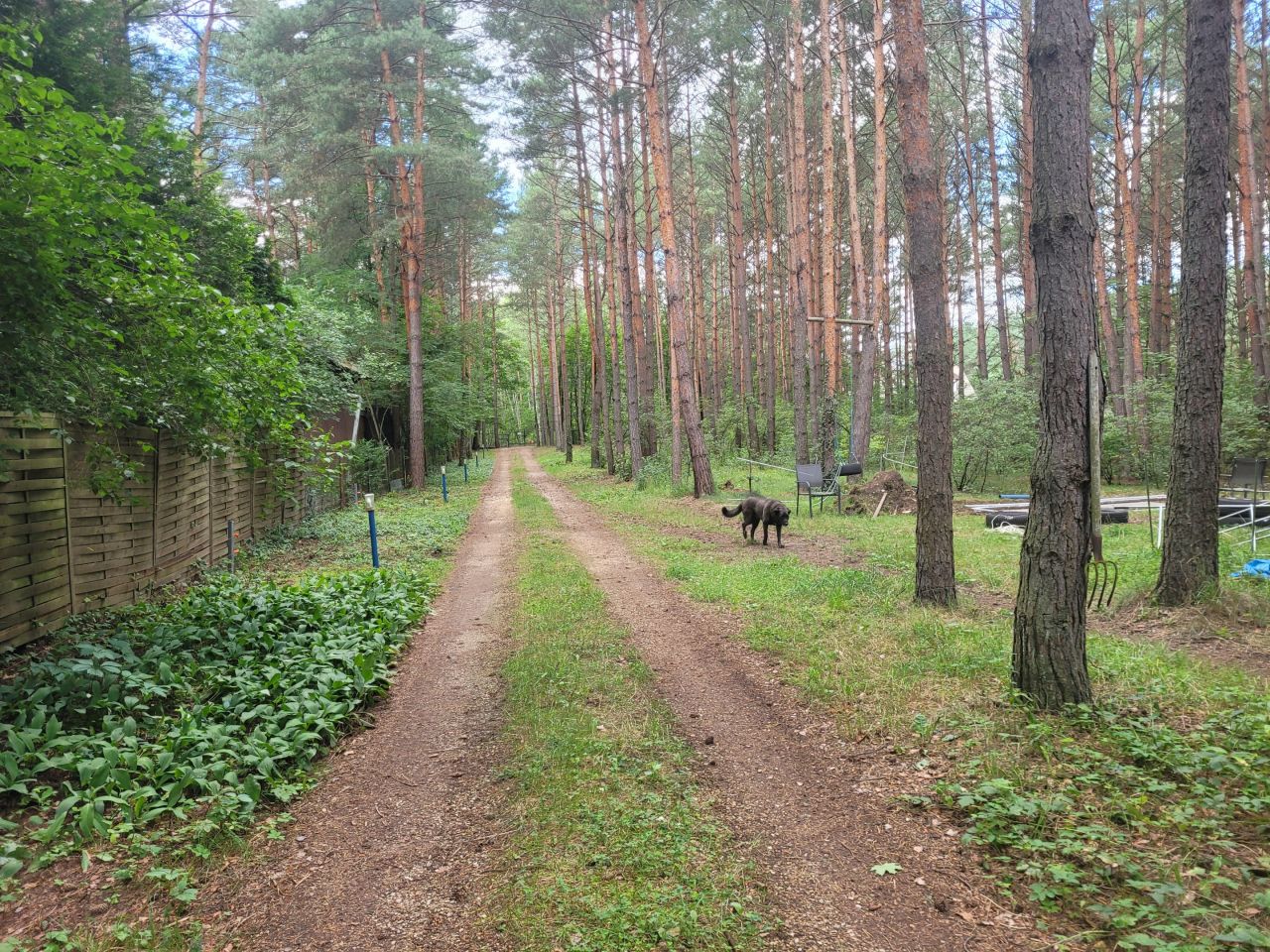 Działka rekreacyjna Czekanka. Zdjęcie 27