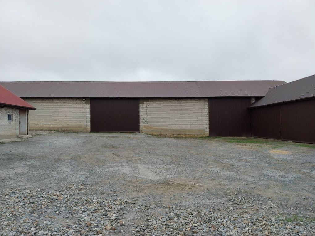 gospodarstwo, 4 pokoje Koszyce. Zdjęcie 4