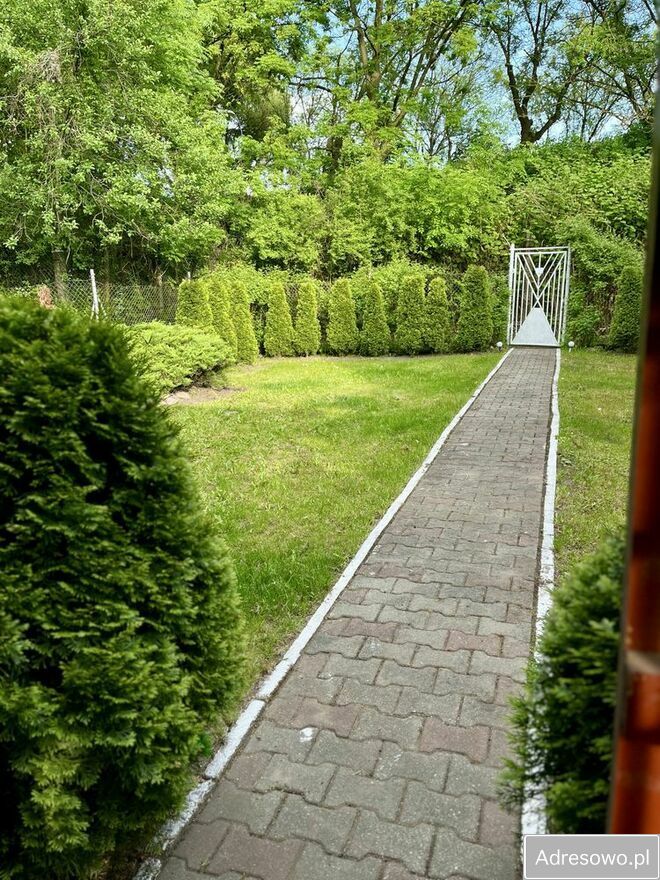 Działka rod Gliwice, ul. Stanisława Wyspiańskiego. Zdjęcie 5